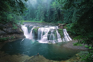 waterfalls and green trees, waterfall HD wallpaper