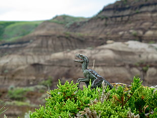 gray dinosaur toy, dinosaurs, nature, toys, mountains