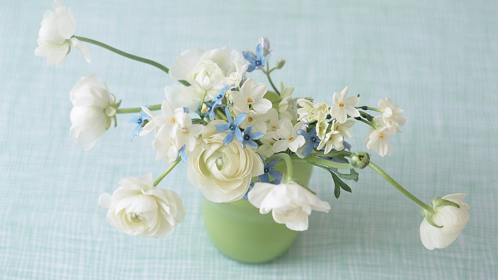 white Rose flowers with green vase HD wallpaper