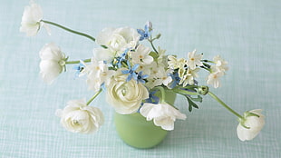 white Rose flowers with green vase