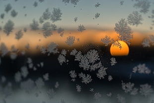 snowflake lot, nature, Sun, sunset, glass HD wallpaper
