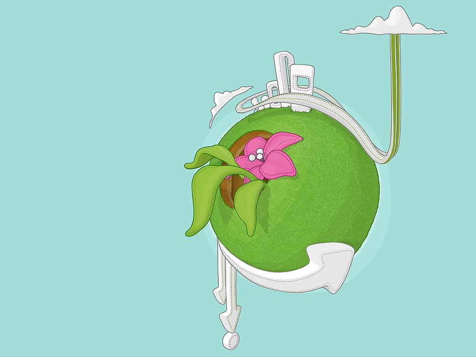 round green plant illustration HD wallpaper