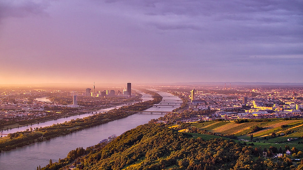 aerial photo of city near river, vienna HD wallpaper