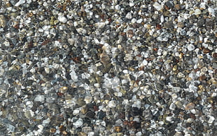 gray, black and brown pebbles