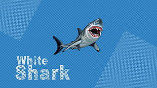 great white shark illustration with text overlasy, shark, animals, pop art
