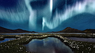 Aurora Borealis, aurorae, sky, nature, landscape