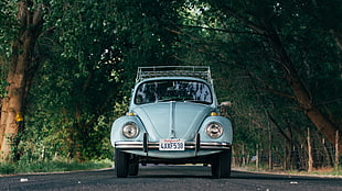 gray Mercedes-Benz car, photography, car, Volkswagen, Volkswagen Beetle HD wallpaper