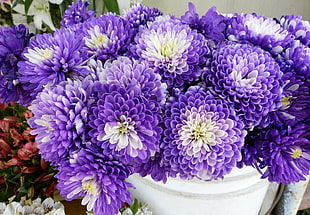 white and purple Carnation flower centerpiece