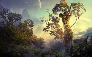green forest illustration, forest, planet, trees, tropical