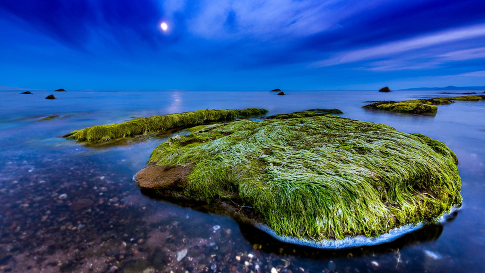 green island, nature, landscape, night, Moon HD wallpaper