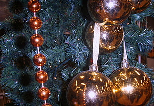 close-up photo of green Christmas tree and gold-colored baubles HD wallpaper