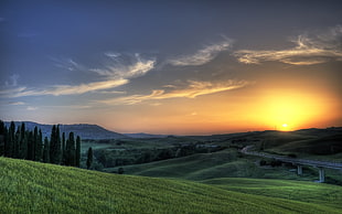 landscape portrait of green mountain during daytime