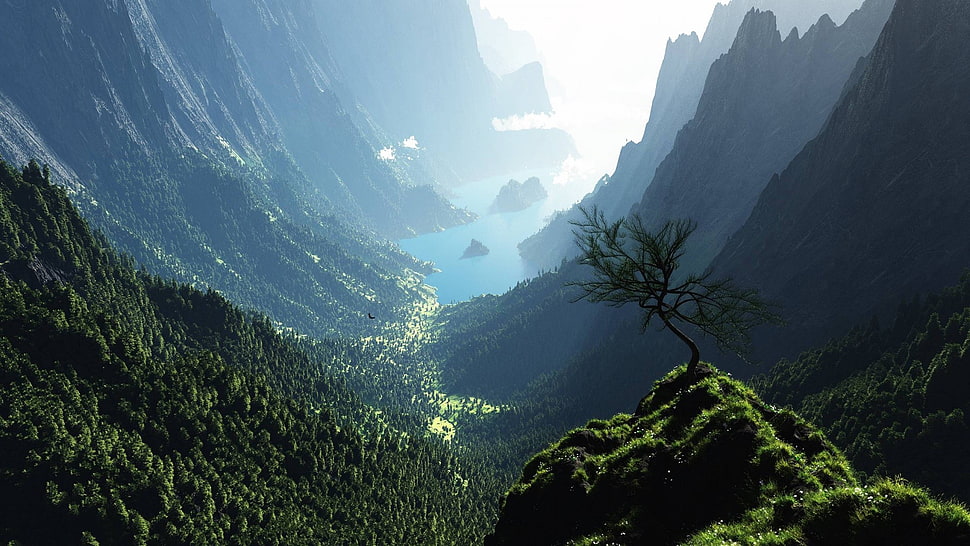green tree, artwork, digital art, trees, forest HD wallpaper