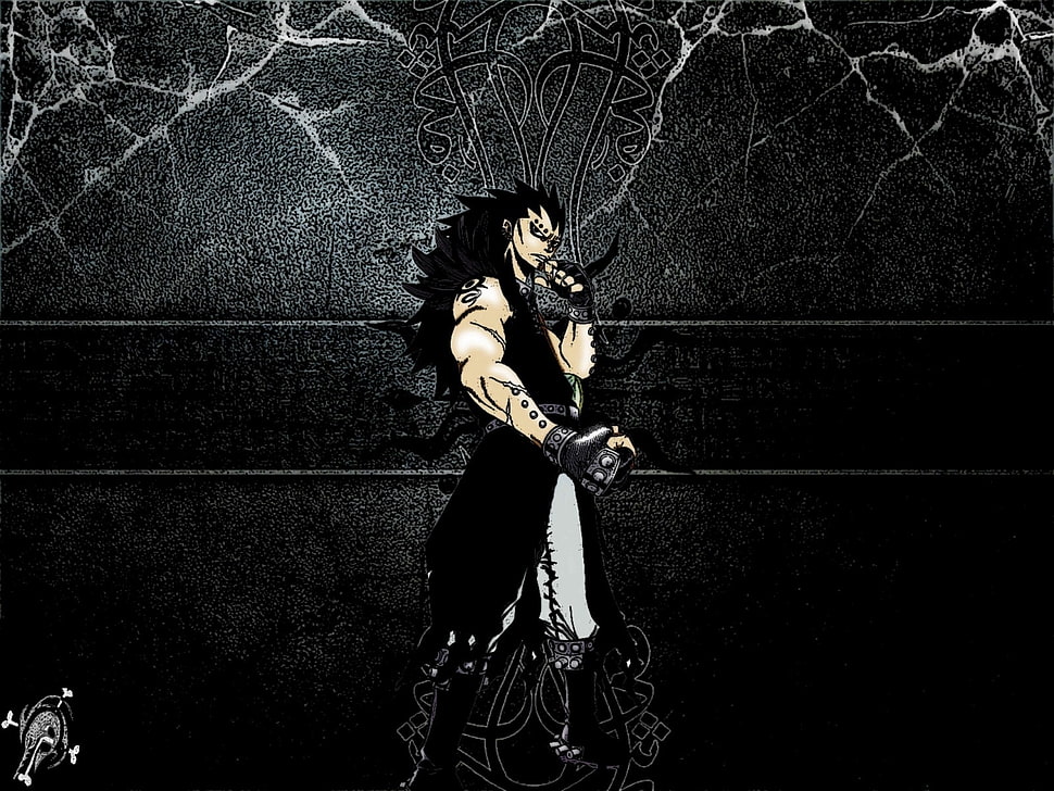 long-haired male anime character illustration, Gajeel Redfox, Gajeel, Fairy Tail, anime HD wallpaper
