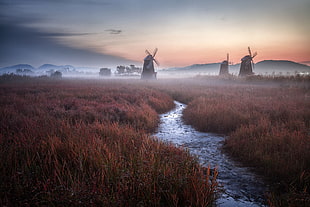 landscape photo of field, nature, mist, landscape, windmill HD wallpaper
