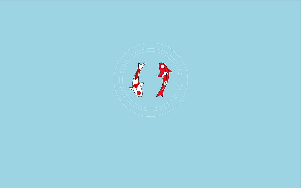 two koi fish digital wallpaper, minimalism, koi, fish, artwork HD wallpaper