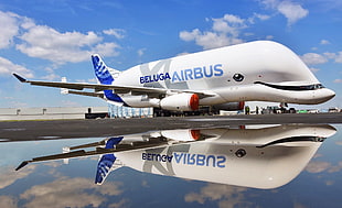 white and blue Beluga Airbus airliner, Airbus, aircraft, vehicle, reflection