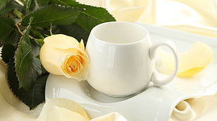 white ceramic mug with saucer beside yellow Rose flower