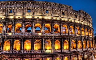 Rome Italy Colosseum HD wallpaper