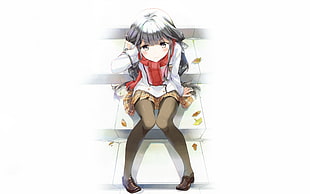 gray haired female anime character illustration