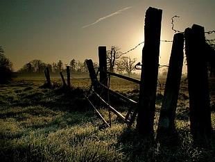 brown wooden fence on green grass at golden hour