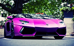 purple Lamborghini sports coupe, car, purple, Lamborghini