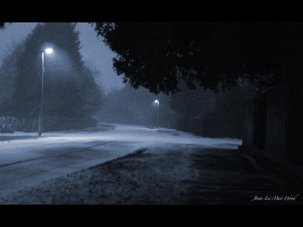 two gray lampposts screengrab, lantern, road HD wallpaper