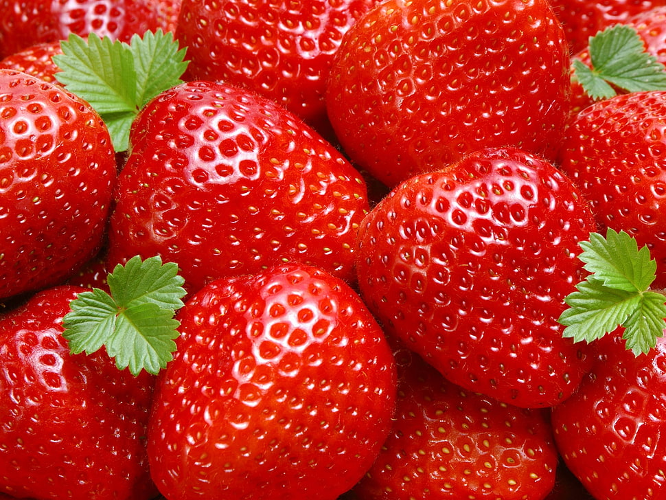 photo of strawberries during daytime HD wallpaper