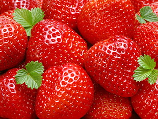 photo of strawberries during daytime
