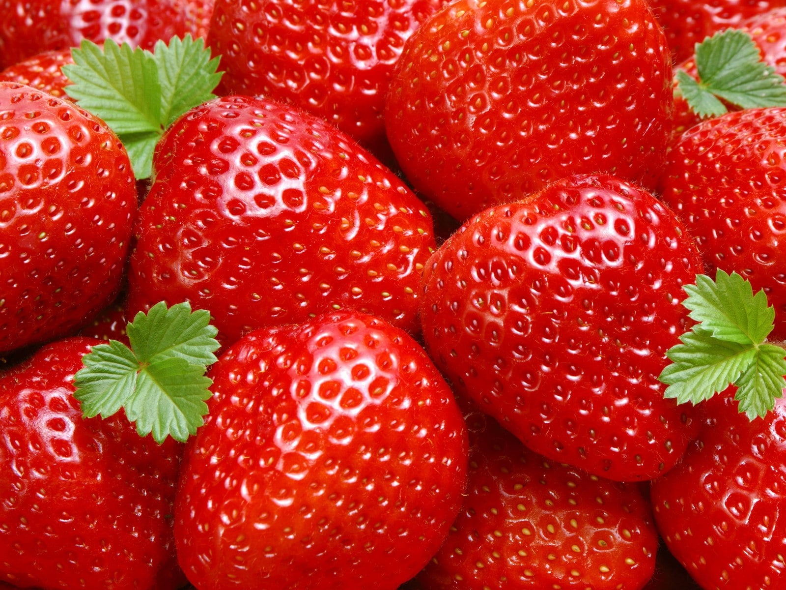 photo of strawberries during daytime