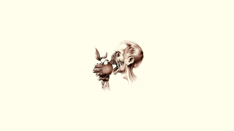skeleton eating fruit illustration HD wallpaper