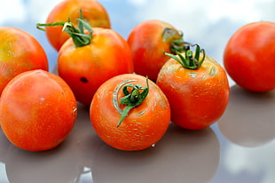 eight orange tomatoes