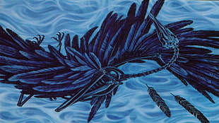 closeup photo of black feathers drawing