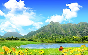 mountain with green trees near body of water with yellow flowers