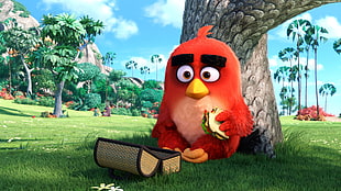 Angry Birds movie scence HD wallpaper