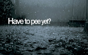 Have to pee yet? quote