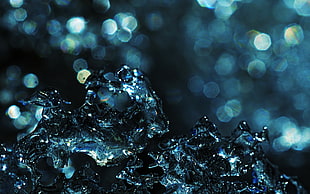 frosted ice in shallow focus photography HD wallpaper