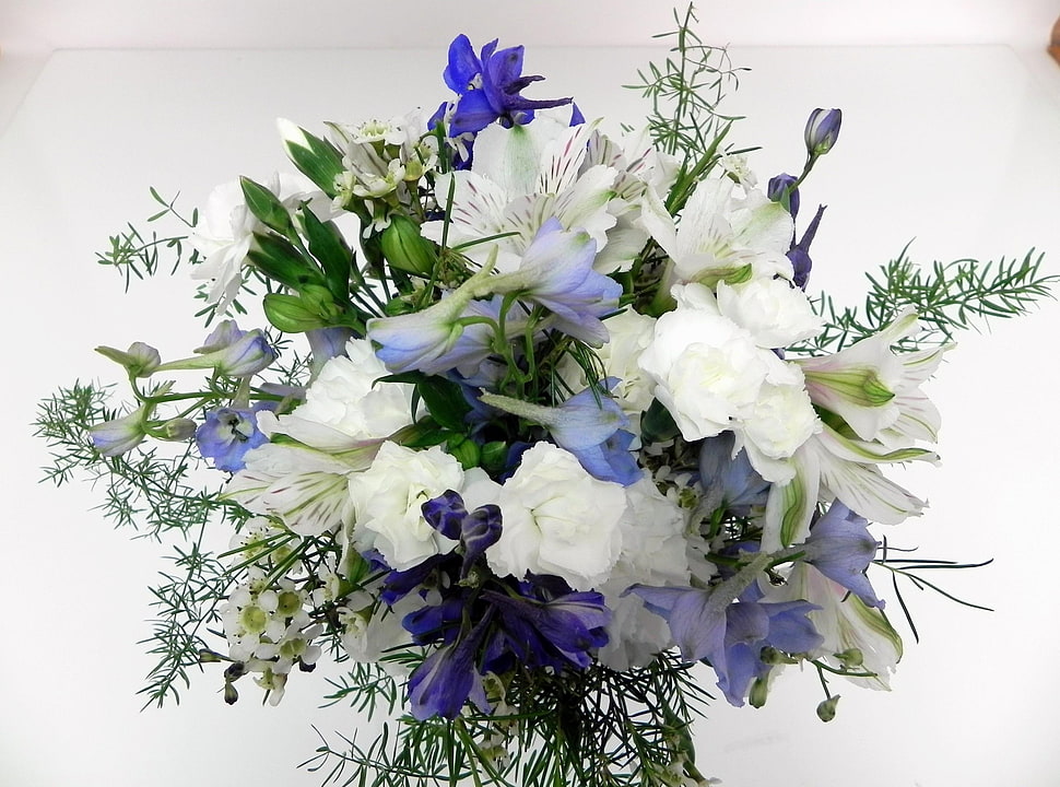 photography of bouquet of white and blue petaled flowers HD wallpaper
