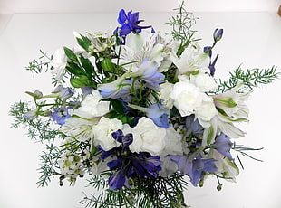 photography of bouquet of white and blue petaled flowers