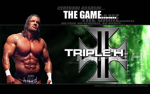 black and green Guitar Hero controller, WWE, Triple H