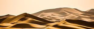 brown and white desert HD wallpaper