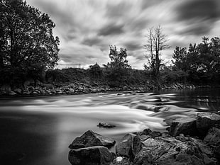 landscape grayscale photography of river and trees under cloudy sky during daytime