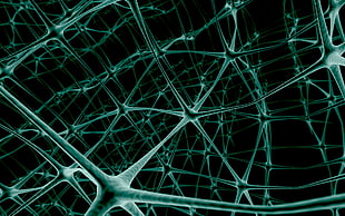 cells illustration HD wallpaper
