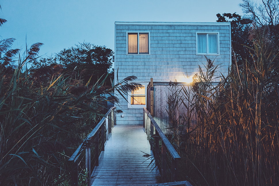 grey concrete 2-storey house surrounded by linear plants during daytime HD wallpaper