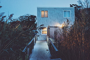 grey concrete 2-storey house surrounded by linear plants during daytime