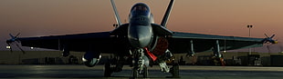 black fighter plane, dual monitors, multiple display, McDonnell Douglas F/A-18 Hornet, military aircraft