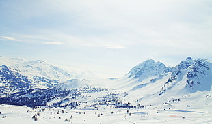ice mountain, mountains, snow, nature, landscape