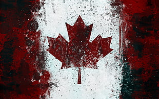 flag of Canada 3D wallpaper