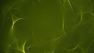 green abstract digital wallpaper, abstract, fractal, digital art, green