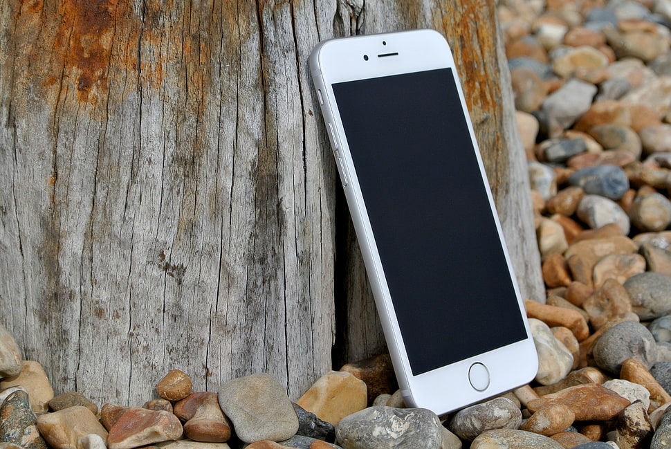silver iPhone 6 on gray tres with stones HD wallpaper